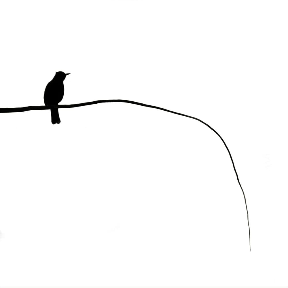 Minimalist Bird Silhouette by Wojciech Pokora — canvas wall art