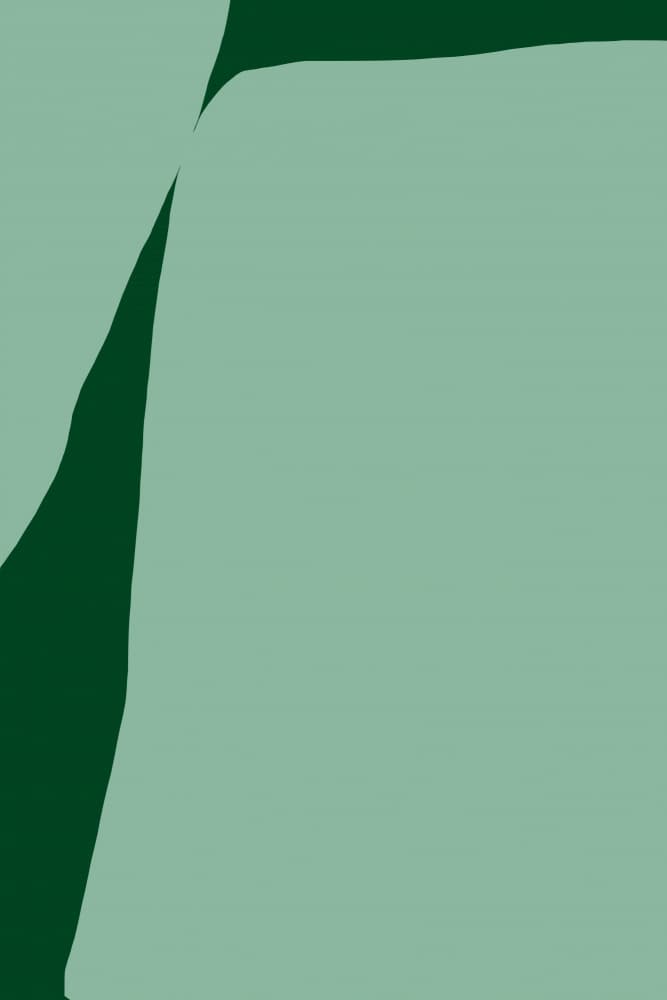 Muted Green Forms by Treechild — canvas wall art