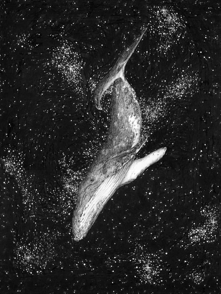 Celestial Whale by EC Mazur — canvas wall art