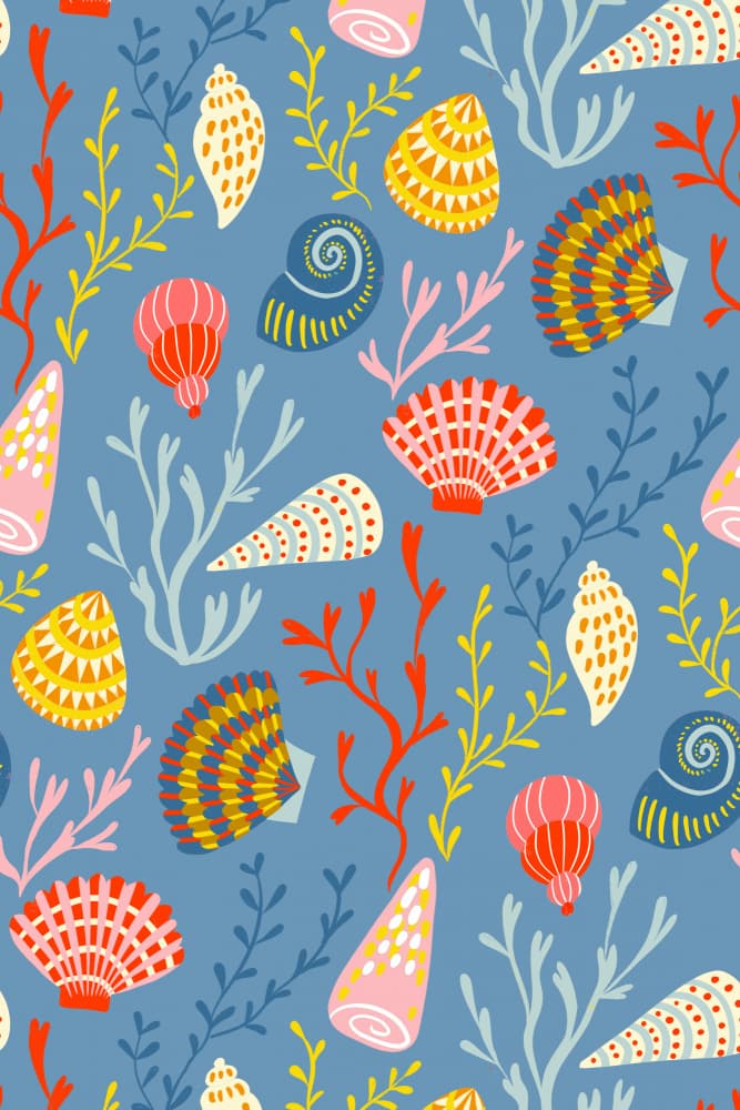 Vibrant Seashells And Coral by uta krogmann — canvas wall art