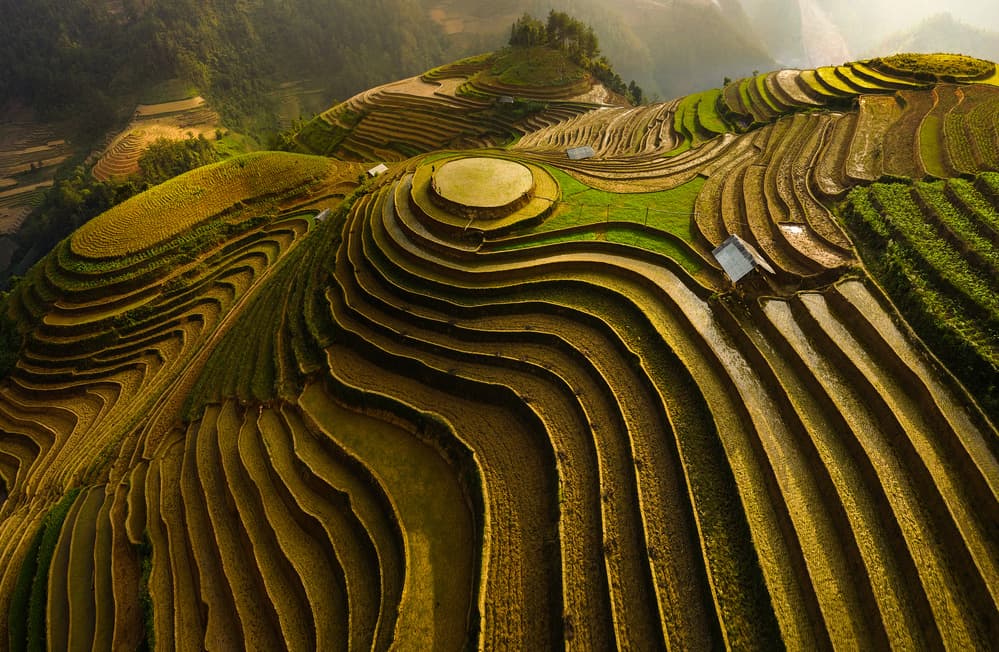 Golden Terraced Mountains by Phat Dao Tan — canvas wall art