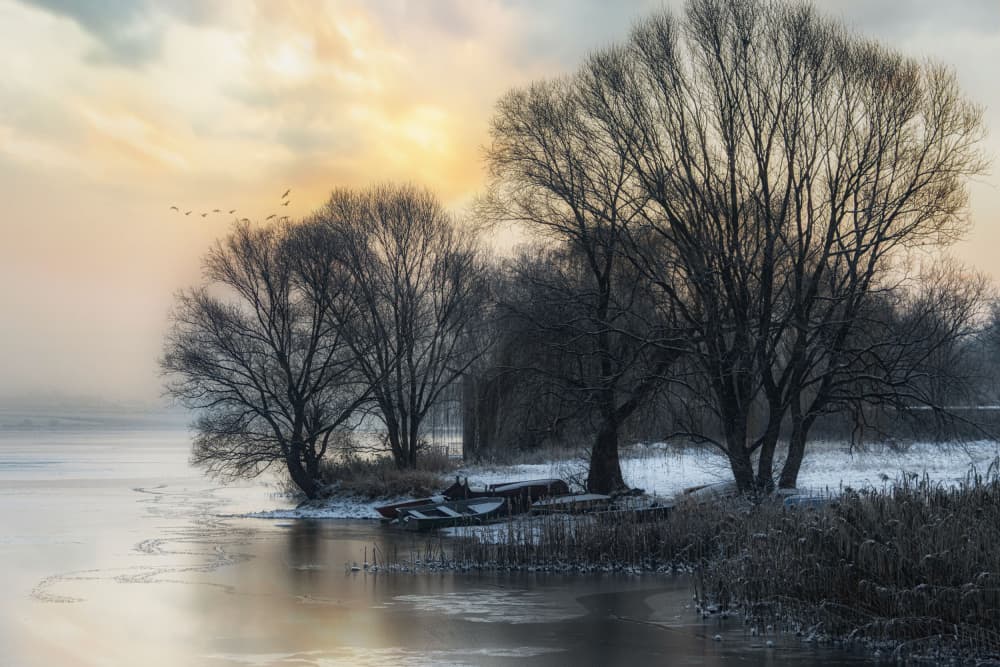 Sunrise Winter Lake by Ewa Całkosińska-Kajzer — canvas wall art