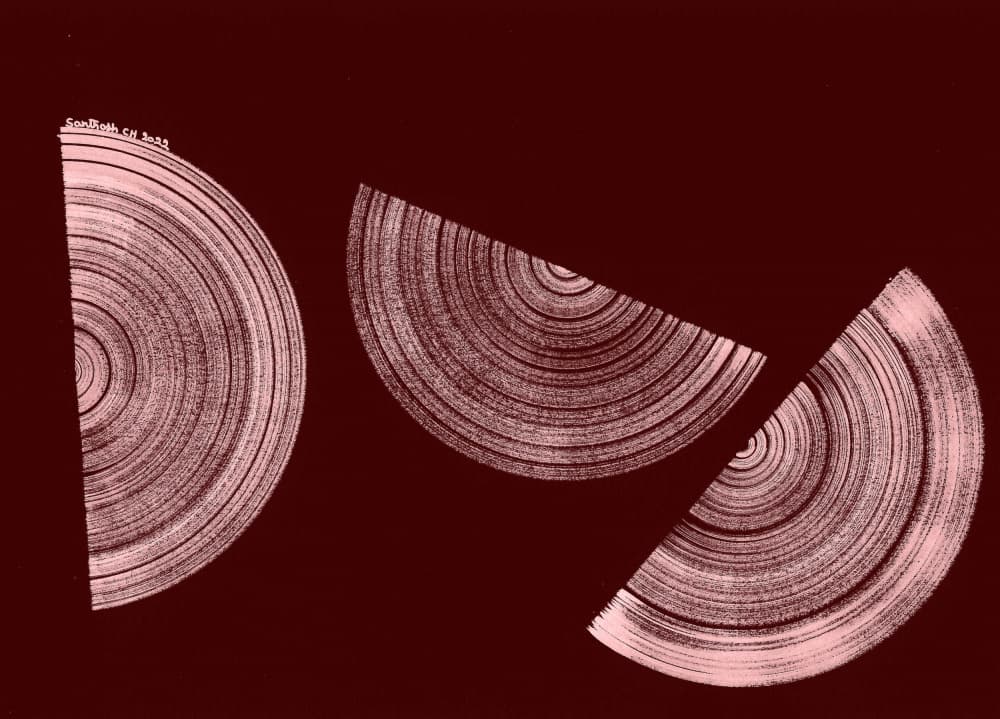 Organic Ring Sections by Santhosh ch — canvas wall art