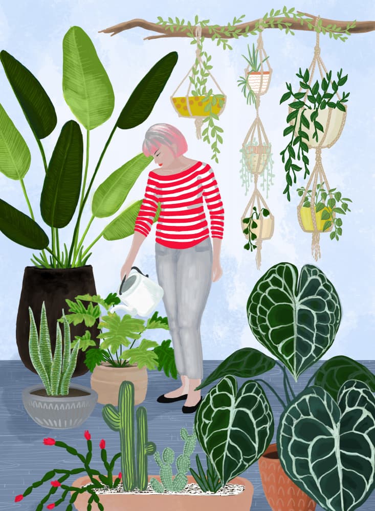Woman Watering Houseplants by Rosana Laiz Blursbyai — canvas wall art
