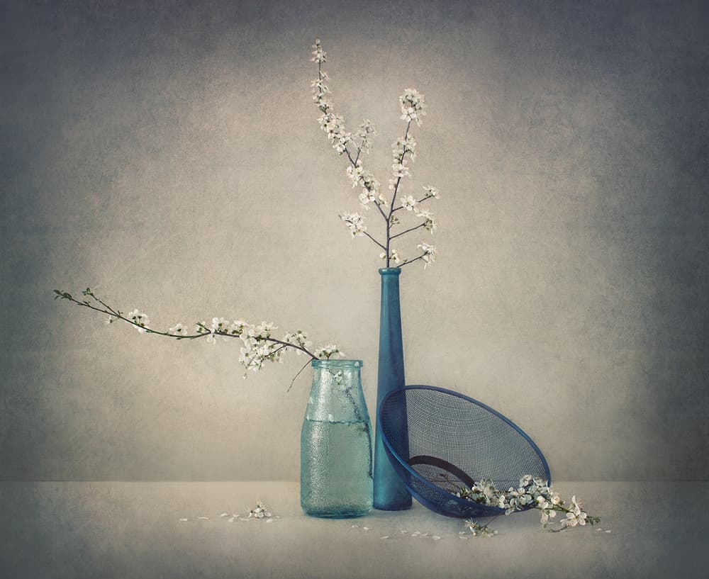 Spring Blossoms Blue Vases by Dimitar Lazarov - Dim — canvas wall art