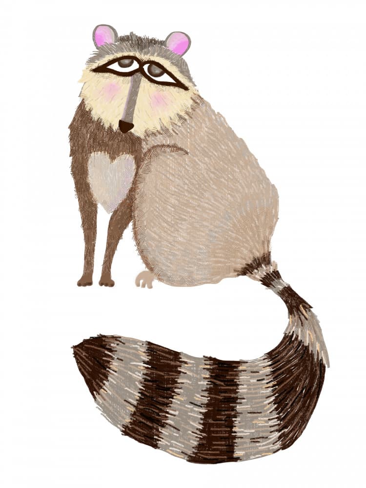 Sweet Curious Raccoon by Lynnda Rakos — canvas wall art