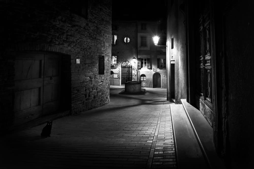 Old Town Night Cat by Nicodemo Quaglia — canvas wall art