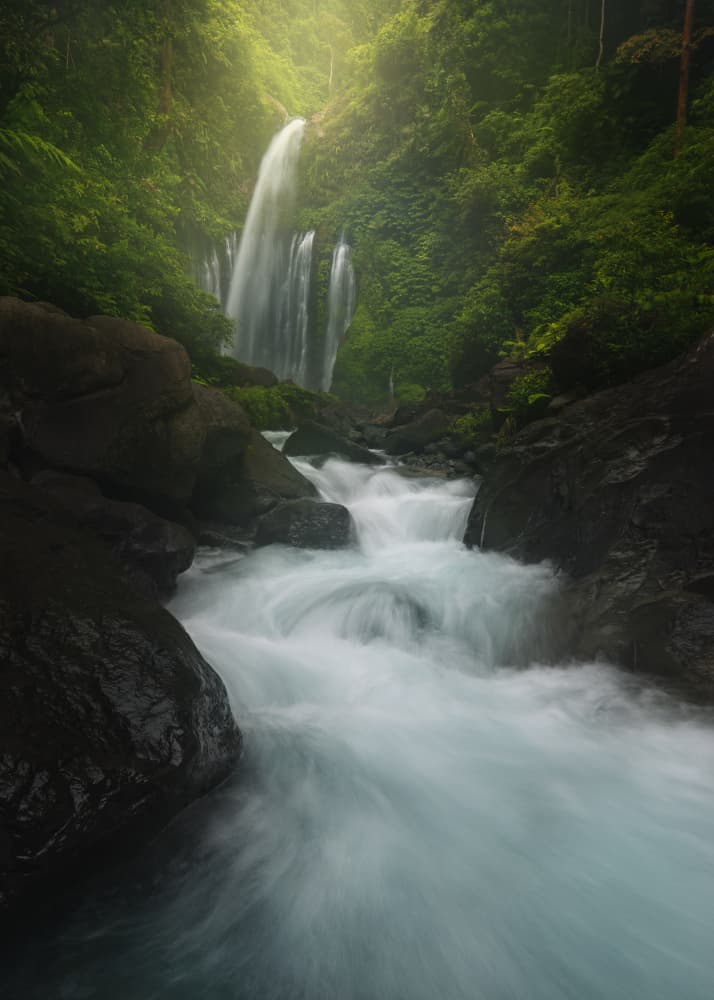 Lush Jungle Waterfall by Mainak Dan — canvas wall art
