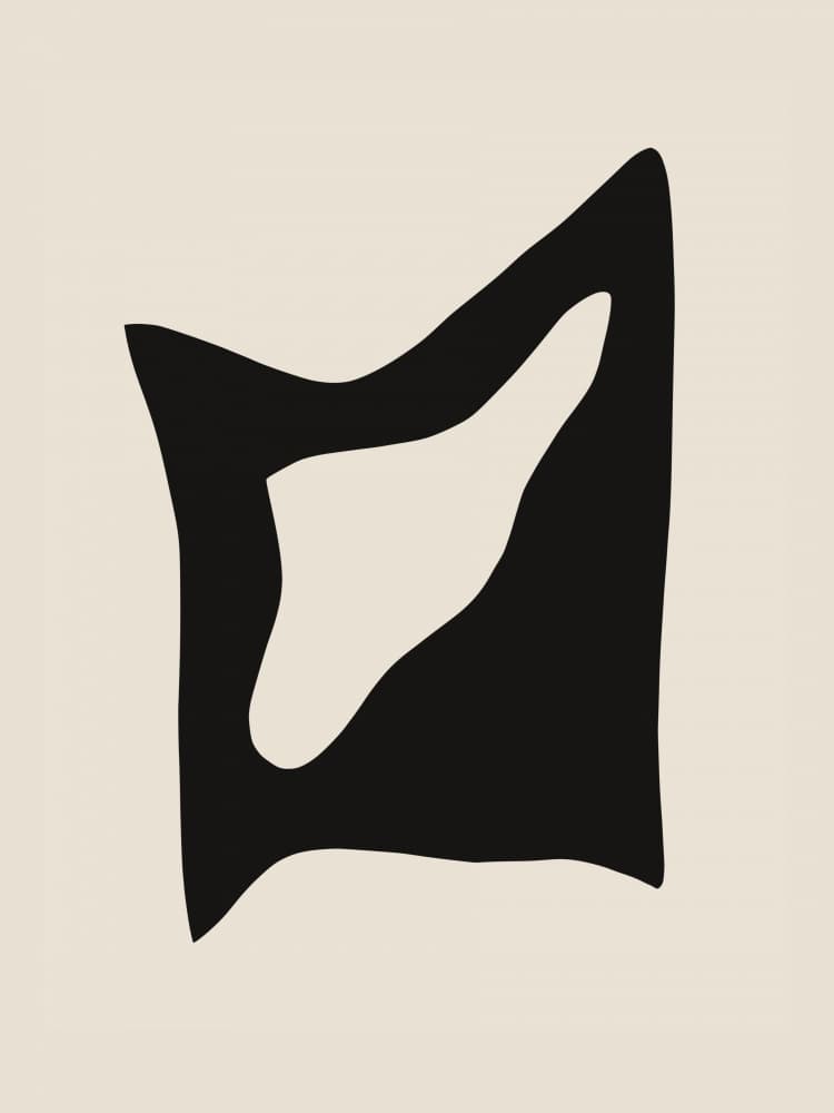 Abstract Fluid Shape by Little Dean — canvas wall art