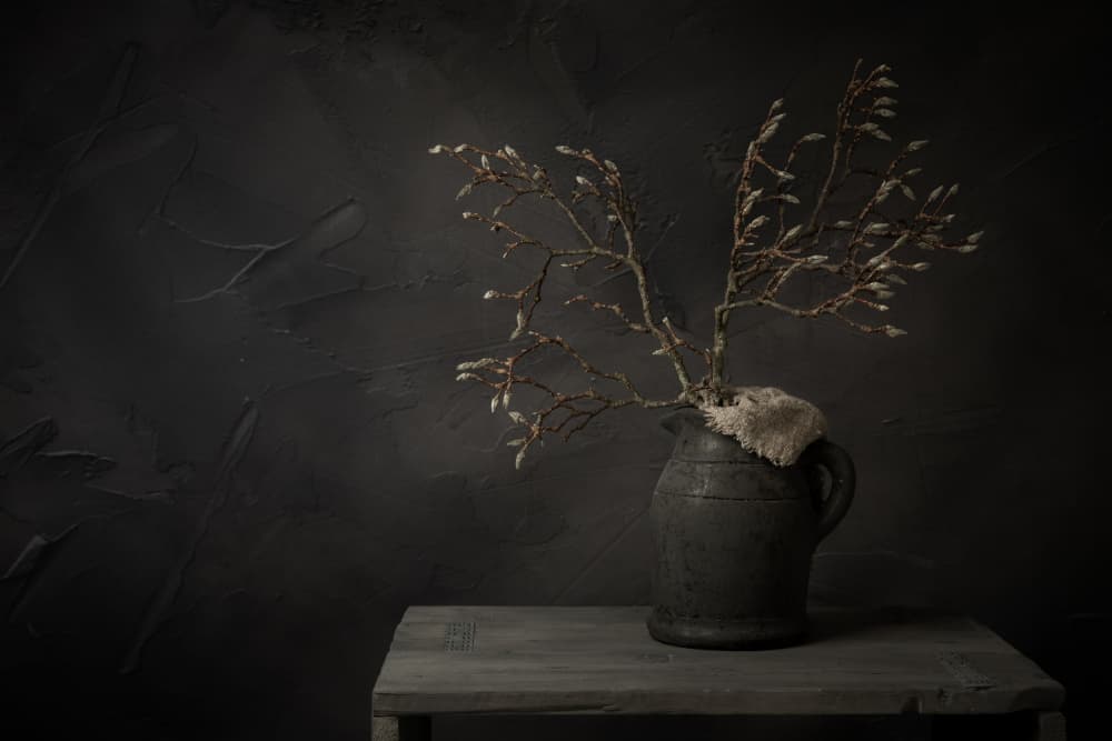 Moody Budding Branches by Mayra Pama — canvas wall art