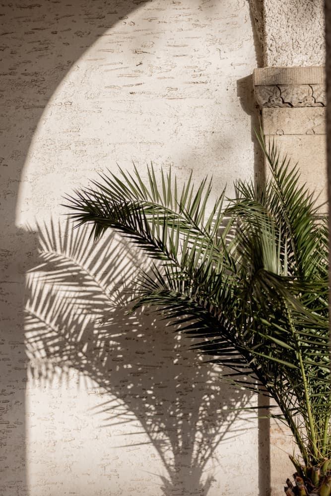 Arched Light 2 by Mareike Böhmer — canvas wall art