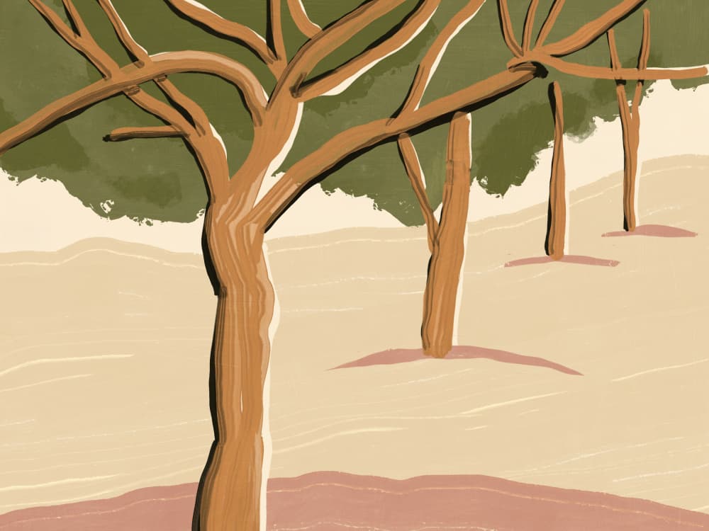 Tranquil Tree Landscape by Little Dean — canvas wall art