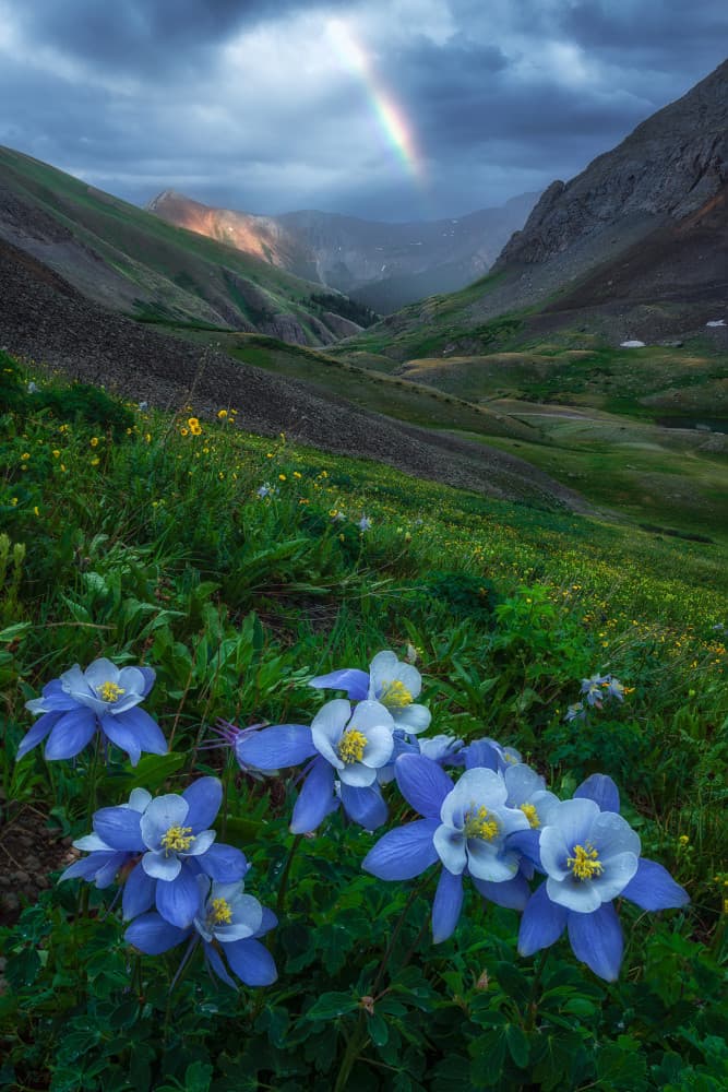 Columbine Mountain Rainbow by Mei Xu — canvas wall art