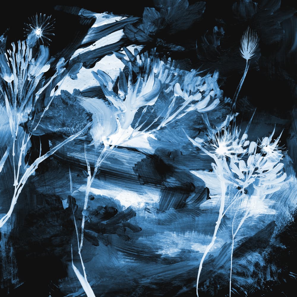 Blue Floral by Dan Hobday — canvas wall art