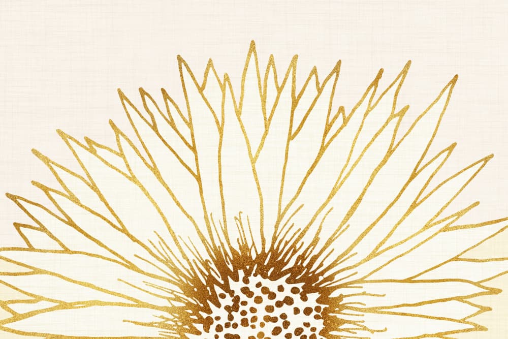Simple Sunflower by Kristian Gallagher — canvas wall art