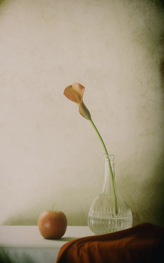 Calla Lily and Apple Still Life by Delphine Devos — canvas wall art