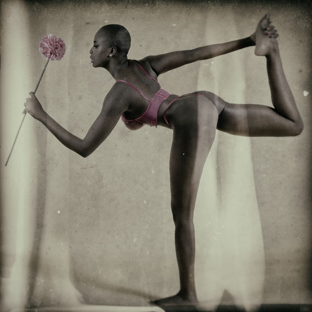 Dancer's Flower Pose by michel juvet — canvas wall art