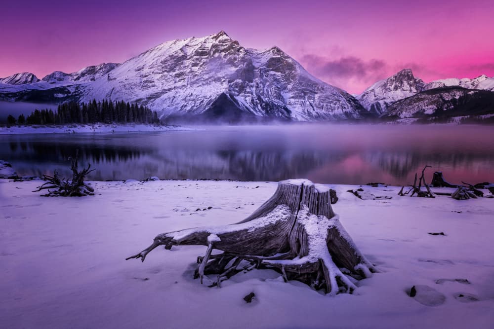 Purple Winter Lake by Lisa Zhang — canvas wall art