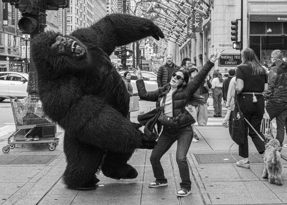 Happy Street Gorilla by Wendy Fischer Hartman — canvas wall art