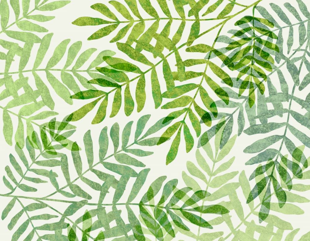 Jungle Forest Ferns by Kristian Gallagher — canvas wall art