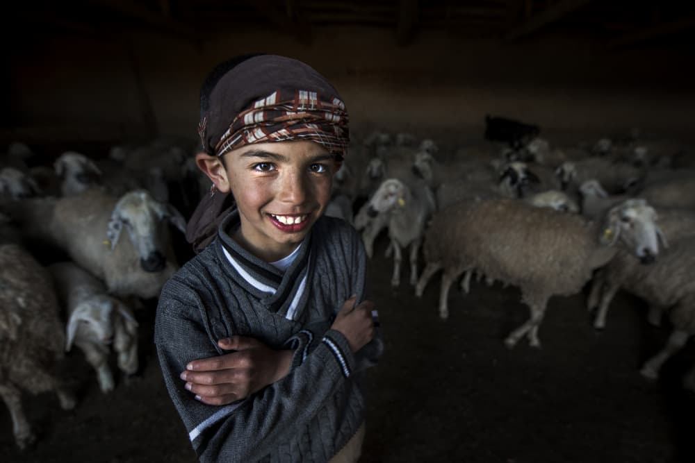 Smiling Boy and Sheep by Ali Can — canvas wall art