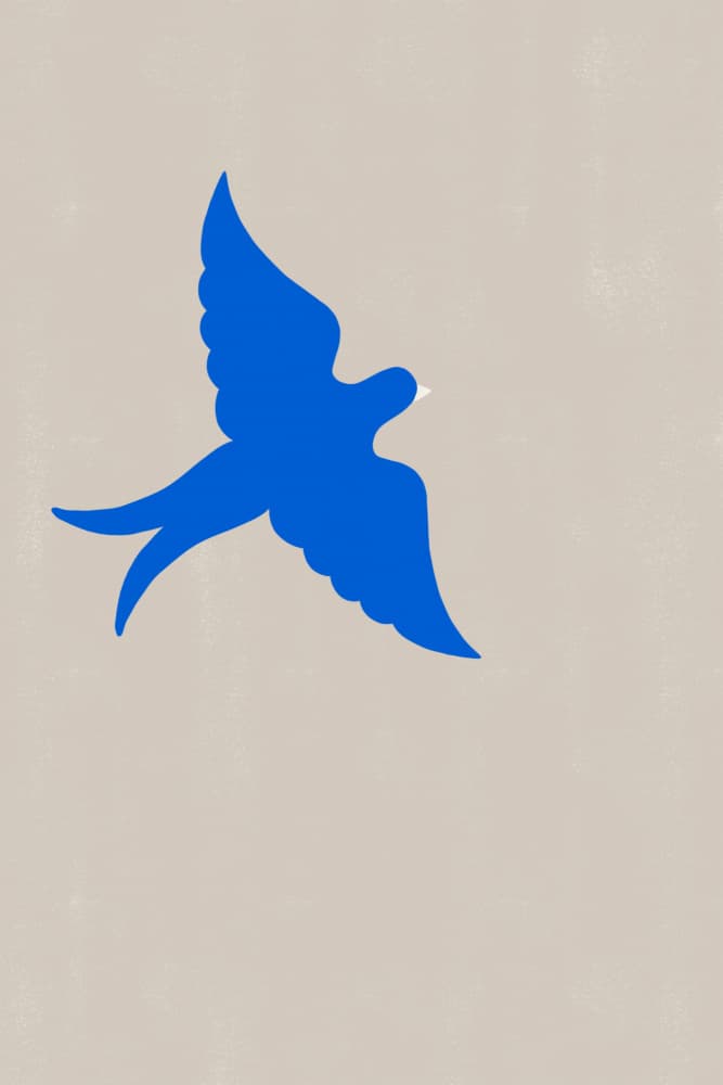 Bluepigeon by Treechild — canvas wall art