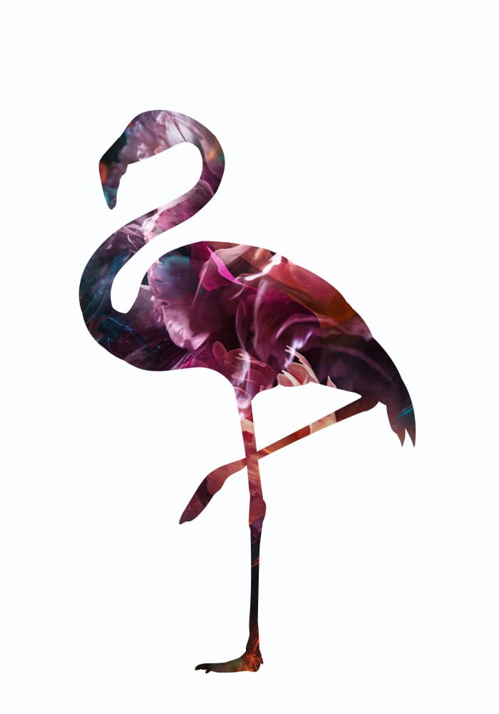 Elegant Abstract Flamingo by Sarah Manovski — canvas wall art