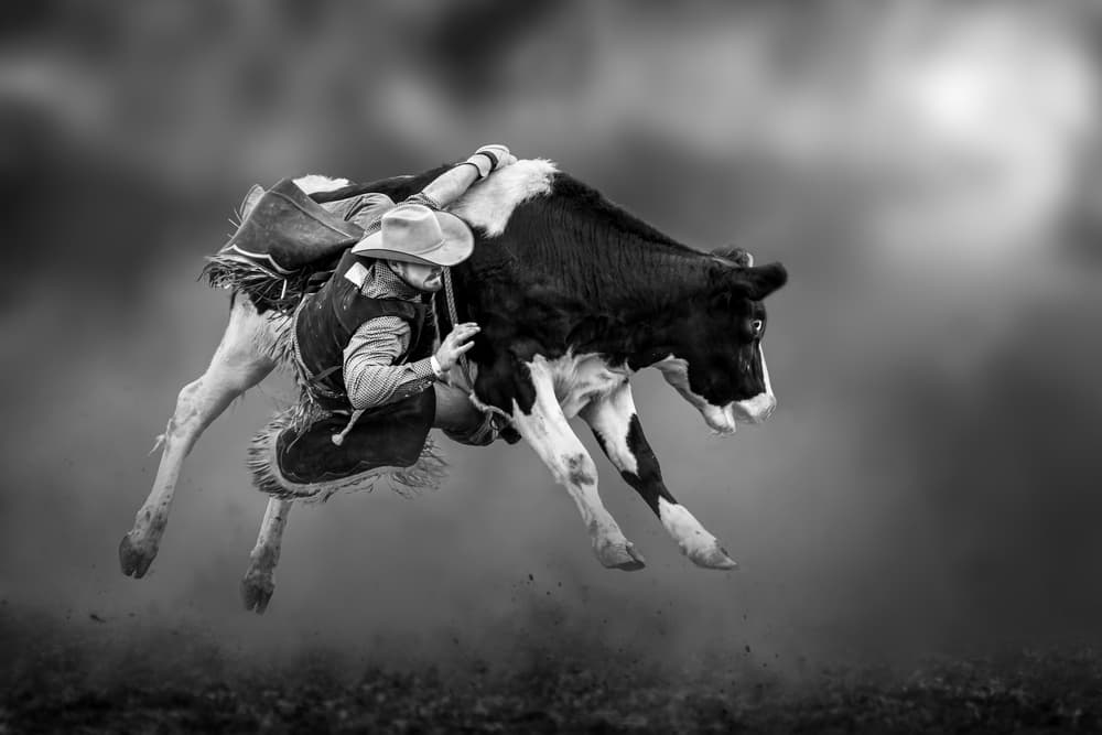 Bucking Calf Ride by Irene Wu — canvas wall art