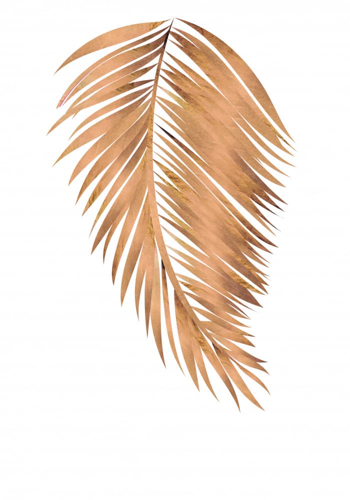 Golden Palm Leaf by Sarah Manovski — canvas wall art