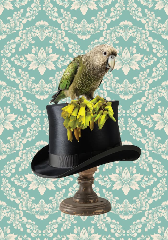 Whimsical Top Hat Parrot by Sue Skellern — canvas wall art