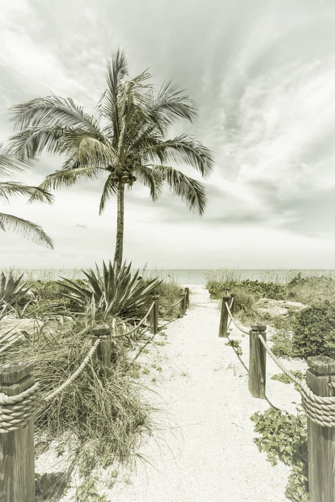 Tropical Beach Pathway by Melanie Viola — canvas wall art