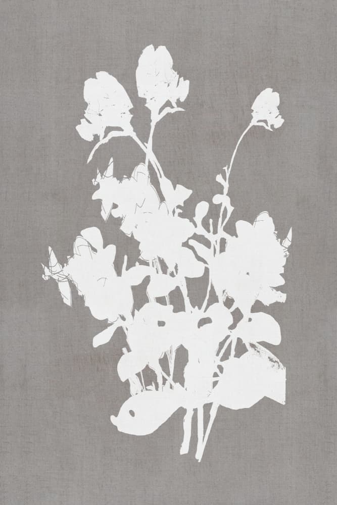 White Floral Silhouette by cartissi — canvas wall art