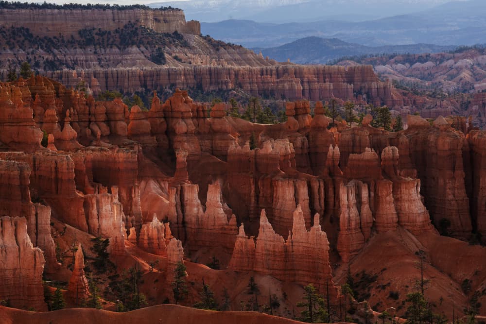 Bryce Canyon Hoodoos by HuongHoang — canvas wall art