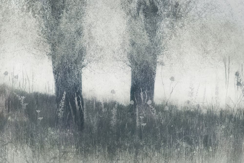 Memories by Nel Talen — canvas wall art