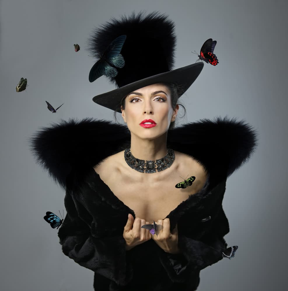 Black Hat Butterfly Beauty by DDiArte — canvas wall art