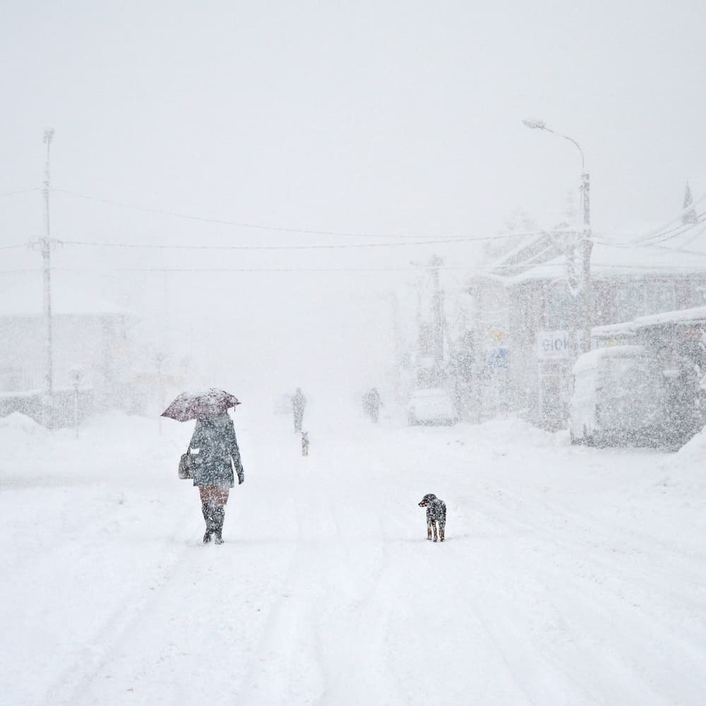 Snowy City Walk by Zoran Milutinovic — canvas wall art
