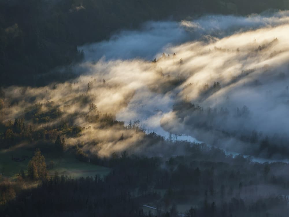 Golden Light Fog Valley by Jure Kravanja — canvas wall art