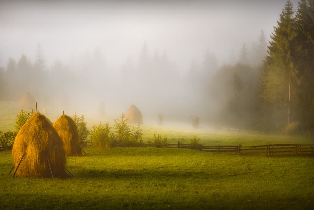 Misty Morning Haystacks by Anghel Rusu — canvas wall art
