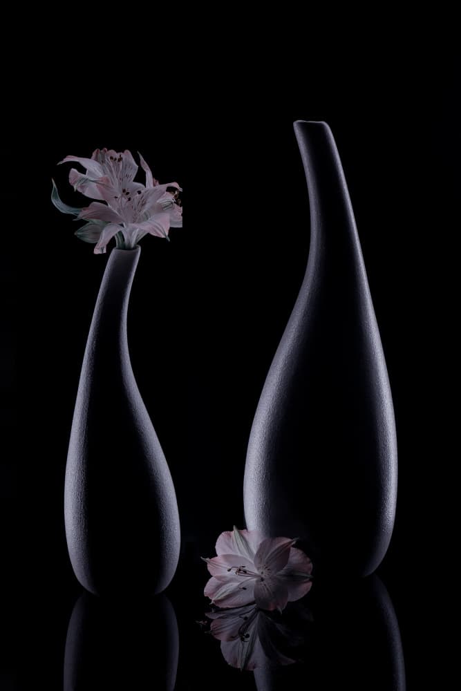 Modern Vases Still Life by jenny j rao — canvas wall art
