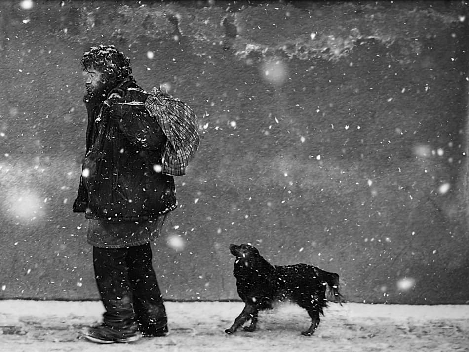 Winter Wanderer With Dog by Nicoleta Gabor — canvas wall art