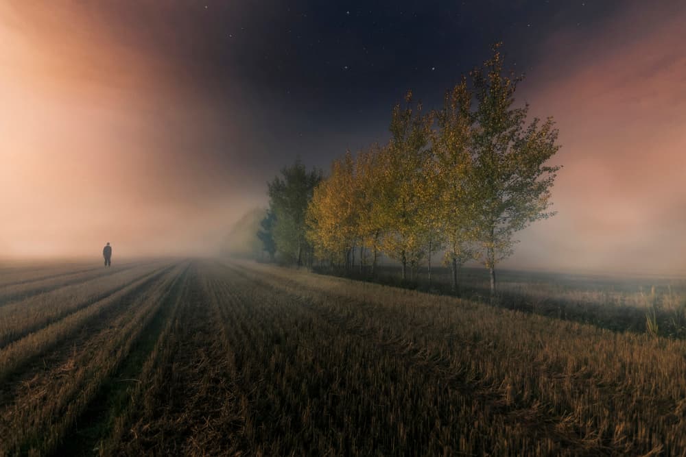 Solitary Figure in Fog by Mika Suutari — canvas wall art