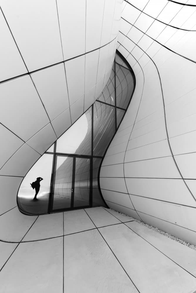 Modern Curves Silhouette by Hasan Shaboot — canvas wall art