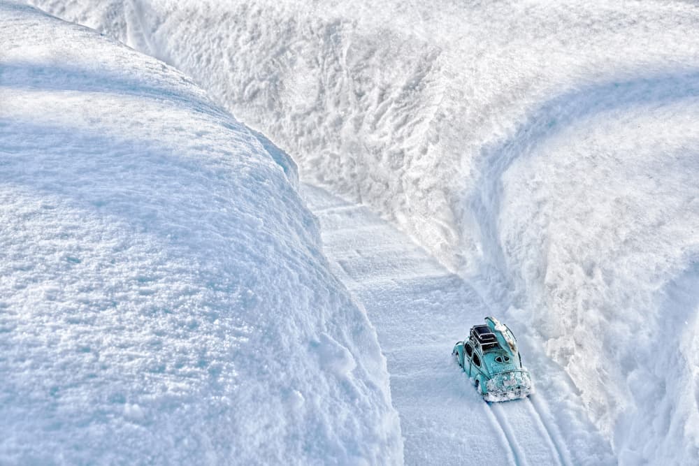 Deep Snow Journey by Lucie Gagnon — canvas wall art