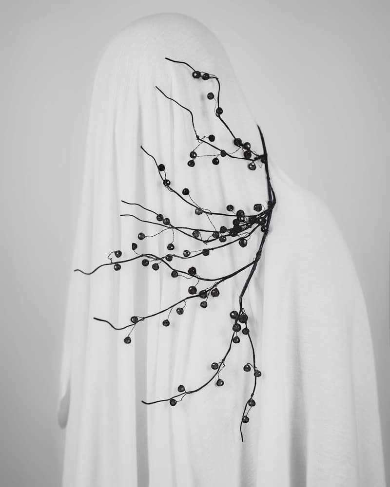 Enigmatic Veiled Branches by Yuri Shevchenko — canvas wall art