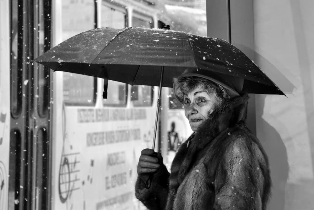 Urban Snowfall Portrait by Nicoleta Gabor — canvas wall art