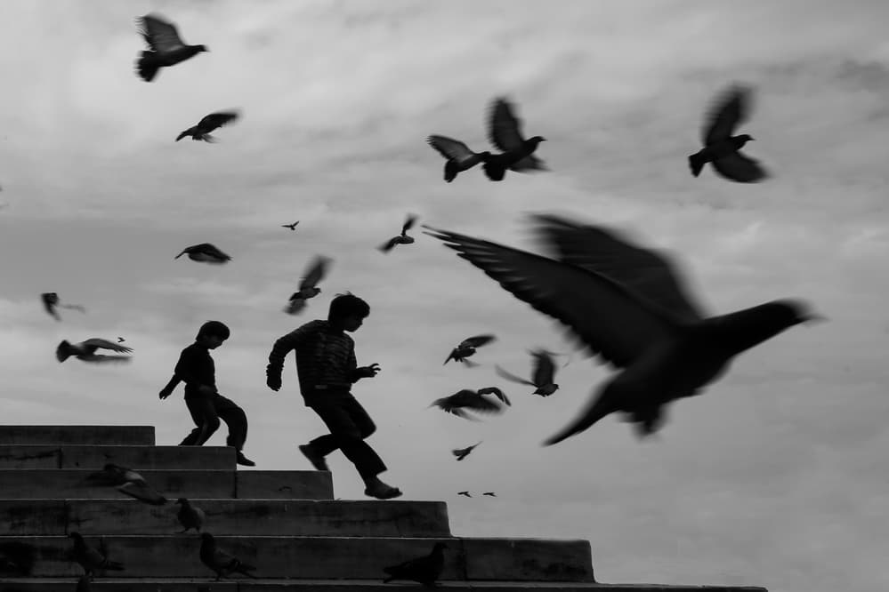 Running Kids Flying Birds by Ummu Nisan Kandilcioglu — canvas wall art