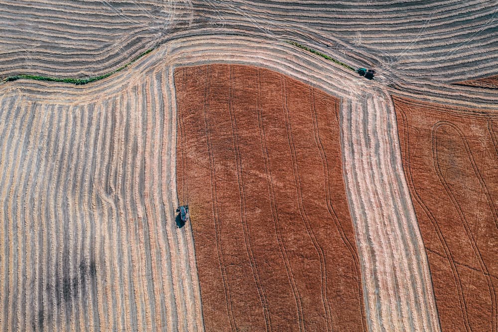 Abstract Farm Fields by Carmine Chiriacò — canvas wall art
