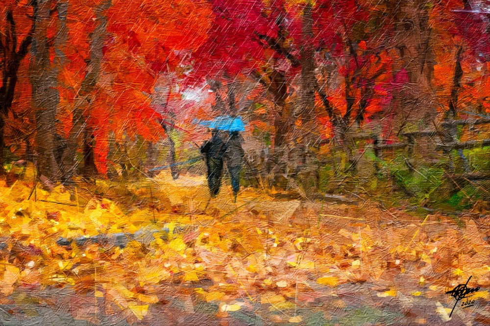 Autumn Umbrella Walk by Osvaldo Russo — canvas wall art