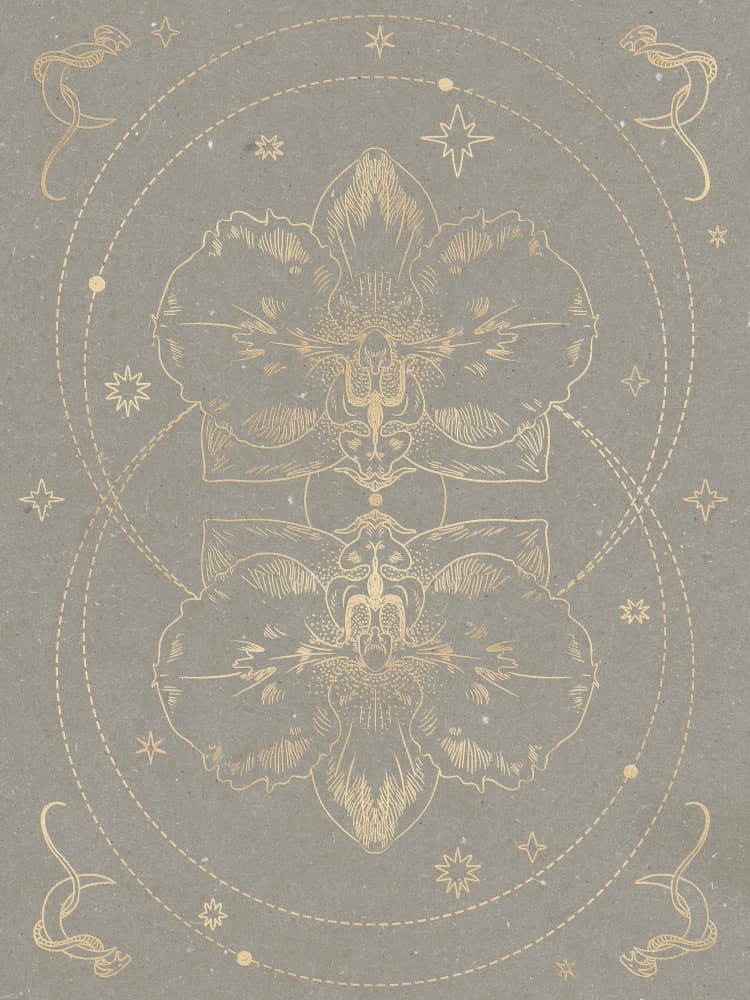 The mystical orchid by NKTN — canvas wall art