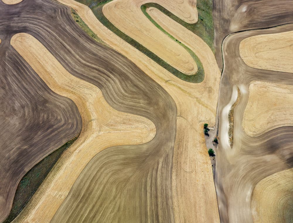 Harvest Field Patterns by Shenshen Dou — canvas wall art